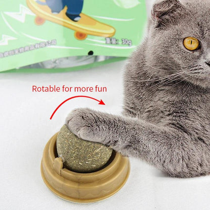 Natural Catnip Wall Toy