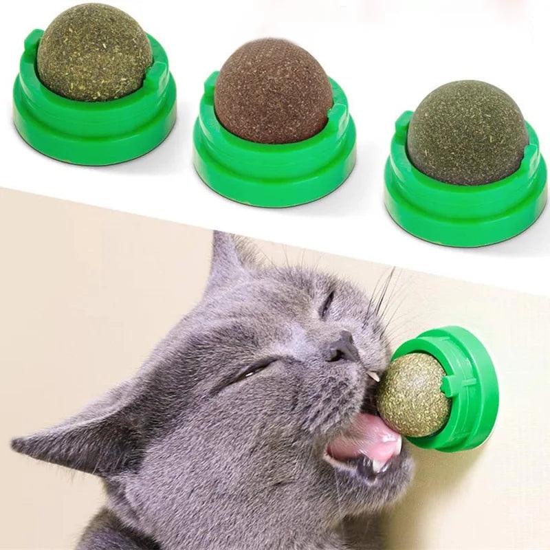 Natural Catnip Wall Toy